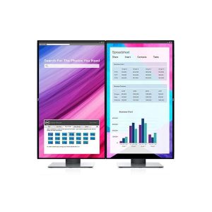 Dell UltraSharp 24 Monitor: U2419H